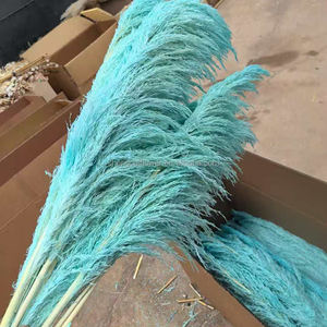 Herbe de la Pampa Séchée en Gros, Grande Taille, Style Naturel Magnifique, pour Mariage, Fête, Noël, Décoration Intérieure, Longue Durée, Sans Perte de Feuilles - Product Image 6