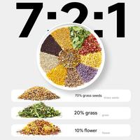 Alimentation pour oiseaux YEE Factory Wholesale : Graines mélangées de qualité supérieure à base d'herbes et de fleurs naturelles pour la nutrition quotidienne des canaris, perruches, pinsons et perroquets.