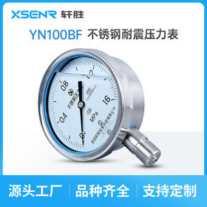 Suzhou Yn100bf Stainless Steel <b>Pressure</b> <b>Gauge</b> 160Mpa Thread Connection 100mm Diameter 1.6 Accuracy Level - Product Image 2