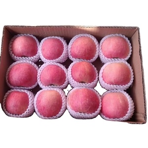 แอปเปิ้ลฟูจิแดงจีน รสชาติอร่อย สดใหม่ สไตล์เรดกัล่า - Product Image 1