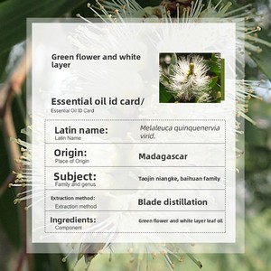 Huile Essentielle Naturelle de <span class=keywords><strong>Niaouli</strong></span> (Melaleuca Viridiflora) de Qualité Thérapeutique pour Soins de la Peau et Acné – Marque Privée Personnalisée, Vente en Gros - Product Image 2
