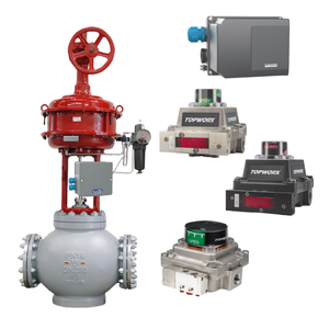 Serie ARCASMART 824, Sensor de Bola Digital con Comunicación HART, Rango de Temperatura -20C a 80C, ARCA POWERTROL - Product Image 4