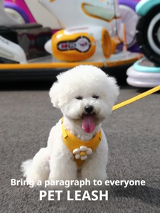 Future pets Cute Comfortable Adjusta ble Daisy Stickerei Weste Stil Nylon Geschirr und Leine für kleine Hunde Katzen Outdoor Walking - Product Image 3