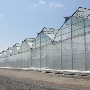 Prix d'usine Arc gothique Multi Span <span class=keywords><strong>Serre</strong></span> en polycarbonate avec système de refroidissement Jardin utilisé pour la vente - Product Image 3