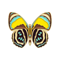 AiLi Broche en émail coloré papillon papillon Cartoon Insect Lepidoptera Specimen Brooch Metal Badge Decoration Pin