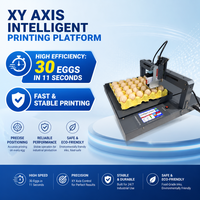 Plataforma de Impresión Inteligente XY Axis, Máquina de Codificación por Lotes con Tinta de Grado Alimenticio de 300 DPI para Granjas Avícolas