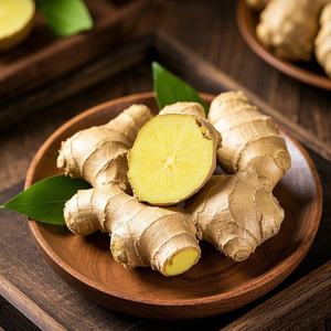 Pemasok Menyediakan Produk Jahe Segar Organik yang Laris Manis - Product Image 2