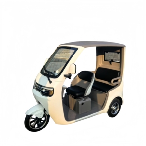 2025 Steel Passenger Tricycle 1000W Power 3 <b>Seat</b> Options 400kg Load Capacity 800W Motor 72V 48V 60V <b>Scooter</b> Ta - Product Image 1
