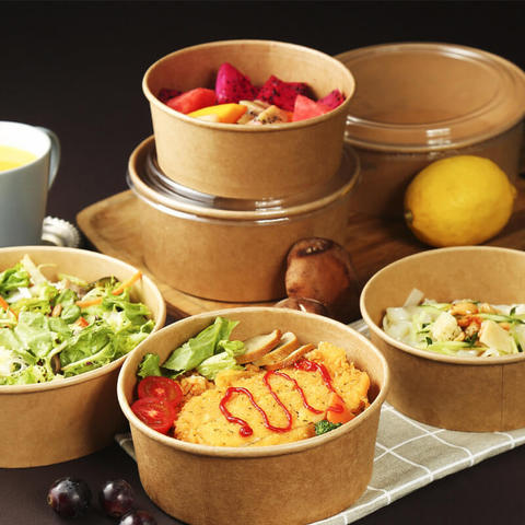 Biodegradable Disposable Food Trays with Compartments for Takeaway in Mauritius