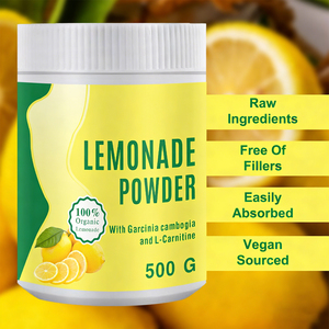 WELLBODY Private Label OEM Unterstützung für Darmgesundheit und Nährstoffaufbau Himbeer-Limonade Geschmack Instant-Pulver für Erwachsene - Product Image 4