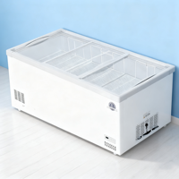 Offre Spéciale d'usine litre différent maison mini réfrigérateur d'aliments frais réfrigérateur congélateur maison réfrigérateurs hôtel mini réfrigérateur