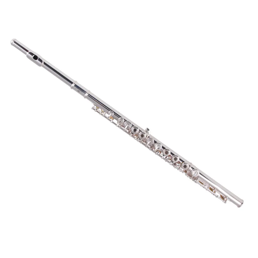 Flauta de alta qualidade com furos fechados 16/17 furos instrumentos banhados a prata