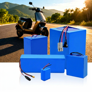 Customized 12V-72V 10Ah-100Ah Lithium Ion <b>Battery</b> Pack for E-bike Scooter with 6000 Cycles and 5-Year Warranty - Product Image 1