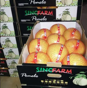 2023 Best Price Buy Pomelo China Honey Pomelo Organic Bulk Sale Pomelo Grapefruit