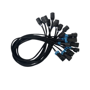 El conector 15300002 impermeable de 2 pines se conecta al arnés de cables personalizado con enchufe MS271451 - Product Image 2