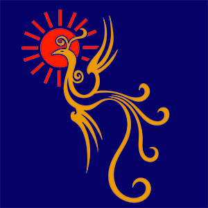 Anqing Feishiji Information Technology Co., Ltd. logo