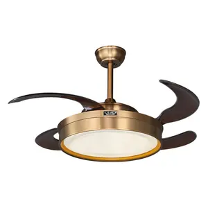 2021 Nieuwe Designer Hot Koop 110 220V 36 42 56 Inch Decoratieve Moderne Afstandsbediening Led Plafond Fans Met licht