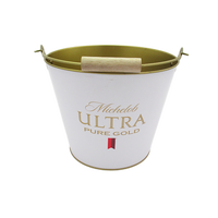 1L 3L 5L 6L 8L 10L 15L 20L 30L rond carré ovale écran d'impression vernis galvanisé métal bière seau à glace pour la promotion