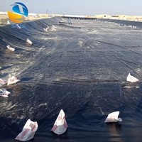 Geomembrana HDPE para proyectos de revestimiento de estanques y vertederos