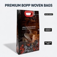 Sac en PP tissé laminé BOPP pour charbon de bois, 8kg, 10kg, 20kg, avec poignée, emballage pour barbecue, résistant à l'humidité, imprimé sur mesure