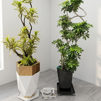 Jardinières modernes de luxe pour la décoration de la maison, pots à fleurs en acier métallique pour l'intérieur, grands pots à fleurs, pots à plantes hauts