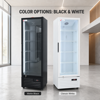 Congélateur vertical commercial personnalisé, style monotempérature, design fin, équipement de réfrigération directe pour la présentation de boissons
