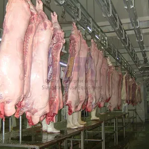 Domuz işleme tesisi için tam Set domuz kesim hattı ekipmanları domuz karkas işleme konveyör