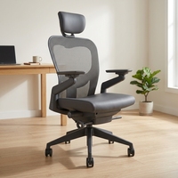 Chaise de bureau ergonomique Mesh Executive, hauteur réglable, accoudoirs 4D, support lombaire, assise en mousse avec normes EN1335 et BIFFMA