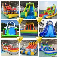 Publicité gonflable extérieure de double de glissière d'eau de jeu de structure d'enfants