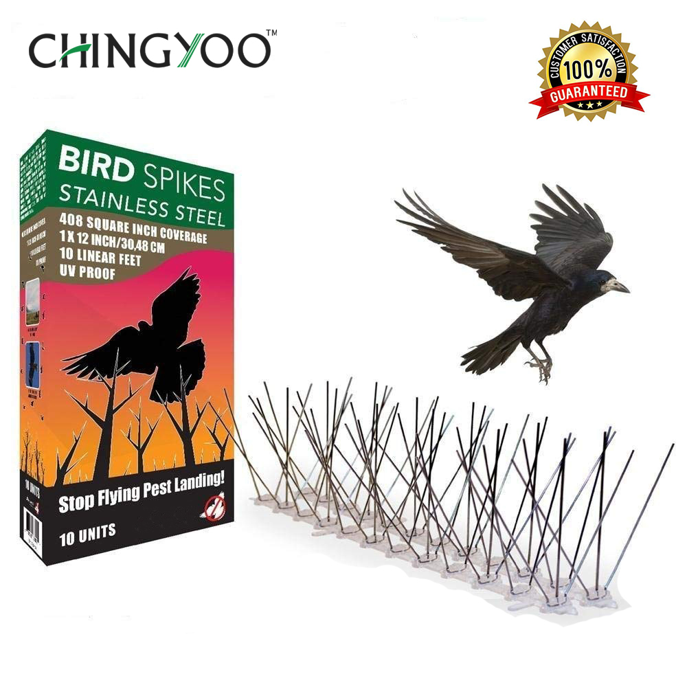 3+3 Standard(10pieces,Standard Package)