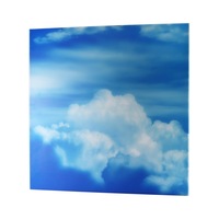 Panneau lumineux LED intelligent médical personnalisé, moderne, pour thérapie émotionnelle et ajustement de l'humeur, avec paysage naturel et gradation des tons de couleur