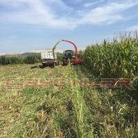 Nouvelle faucheuse à ensilage Sayginlar avec transmission, haute productivité, garantie de 1,5 an pour les exploitations agricoles