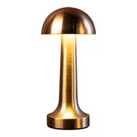 Lampe de bar oblique à chargement LED veilleuse bar restaurant lampe de service Hôtel présentateur de bouteilles pour discothèque bar lounge party events