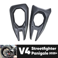 Carbonart - Nueva Carenatura de Fibra de Carbono Real para Ducati Streetfighter V4 2025, Cubierta del Brazo Oscilante Trasero - Pieza de Repuesto/Reparación