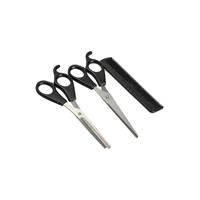 Ensemble de rasage de coiffeur-coiffeur 4 pièces (ciseaux-peigne-peigne-ciseaux)