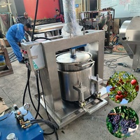 Hete Verkoop Multifunctionele Hydraulische Juicer Fabriek Groentefilter Extractor Hydraulische Druivensap Koud Fruit Persmachine