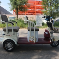 Triciclo Eléctrico Compacto de Larga Duración de Batería, Dimensiones de 140 cm, Motor de 650 W/800 W para Paseos Urbanos Tranquilos