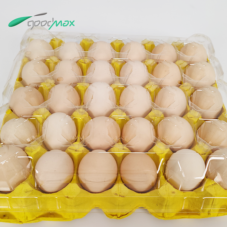 Customized 15 Hole Blue Egg Tray