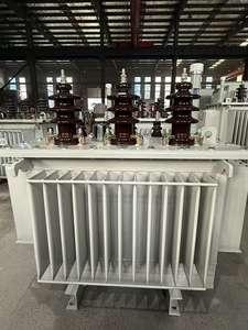 Dacheng 고전압 3 상 11kv 22kv 35kv 100kva 200kva 400kva 1000kva 오일 침수 변압기 - Product Image 3