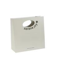 Sacs de shopping en papier de luxe personnalisés pour bijoux, sacs cadeaux imprimés pour accessoires, vêtements, produits de manucure et emballages créatifs culturels