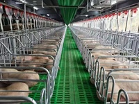 Plancher à lattes LFT--D en matériau composite de qualité supérieure pour plaque de fuite de fumier de porc/truie/chèvre/volaille/porcherie