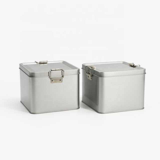 Custom Printed Rectangular Metal With Hardware Buckle Food Container Tin Box