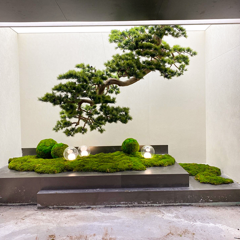 2 m [single tree]