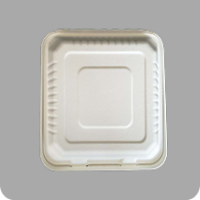 Boîte à gâteau aux fruits jetable, boîte à burger biodégradable, emballage à emporter pour la restauration rapide, boîte à hot-dogs divisée en pulpe de bagasse de canne à sucre
