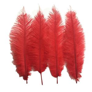 Plumes d'autruche douces de 30-35 cm, teintes en rouge, blanchies, aux couleurs vives, pour cosplay, carnaval, mascarade, Halloween, Noël, costumes et masques - Product Image 1