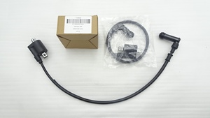 Bobina de Encendido para Motores de 300CC, 250CC, 190CC, 150CC, Bobina de Encendido Sin Restricciones para Motocicletas Todoterreno GUADI <span class=keywords><strong>300</strong></span> - Product Image 2