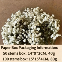 Hete Aanbieding 50 Stelen Mini Natuurlijke Everlasting Gedroogde Bloem Baby's Adem Ge conserveerde Gypsophila Bruiloft Decoratie Corsage Uitnodiging