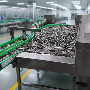 Linea di Produzione per Macchinari di Lavorazione Pesce in Scatola Commerciale ENAK per Sardine e Tonno - Product Image 2