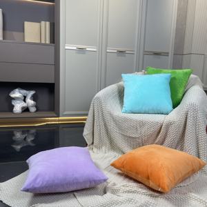 Coussin carré en velours détachable maison canapé décoration oreiller articles de maison jeter oreiller - Product Image 3