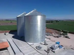 500 1000 1500 5000 Tons Livestock Farm Poultry Farm Feed Silo Corn Grain Storage Silo For Sale